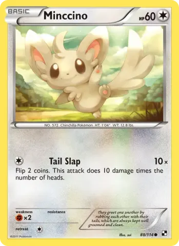 Minccino · 88