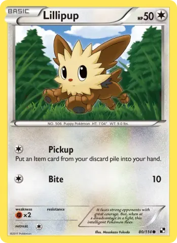 Lillipup · 80