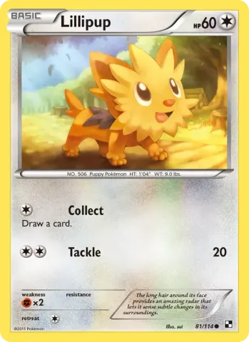 Lillipup · 81