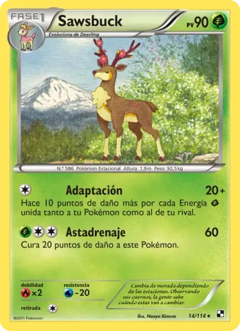 Sawsbuck · 14