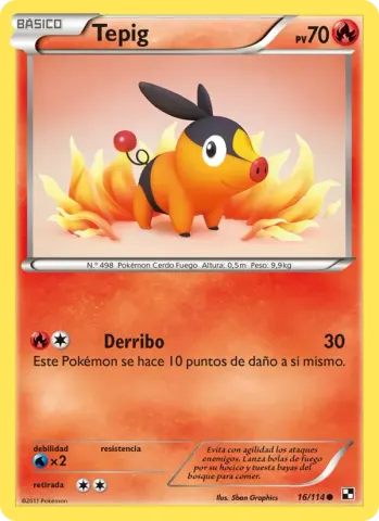 Tepig · 16