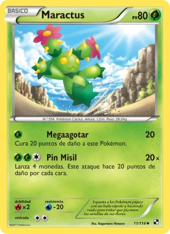 Maractus · 11