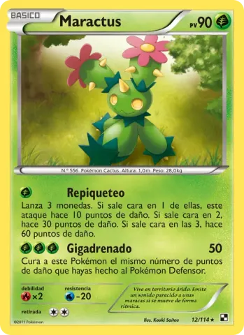 Maractus · 12