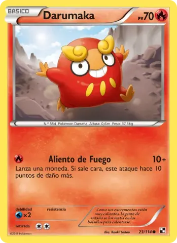 Darumaka · 23
