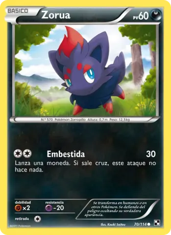 Zorua · 70