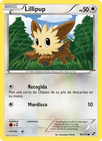 Lillipup · 80