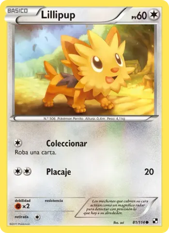 Lillipup · 81