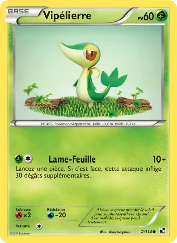 Vipélierre · 2