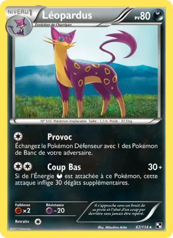 Léopardus · 67