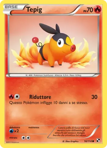 Tepig · 16