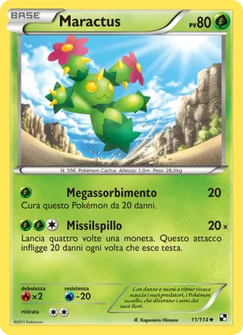 Maractus · 11