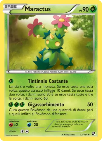 Maractus · 12