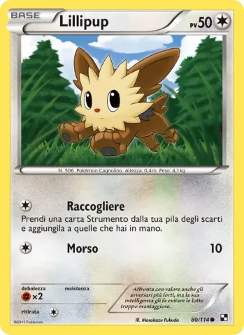 Lillipup · 80