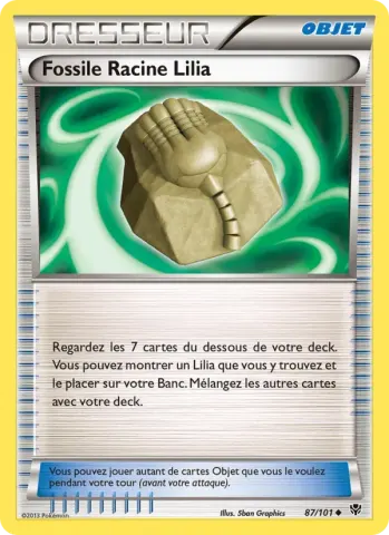 Fossile Racine Lilia · 87
