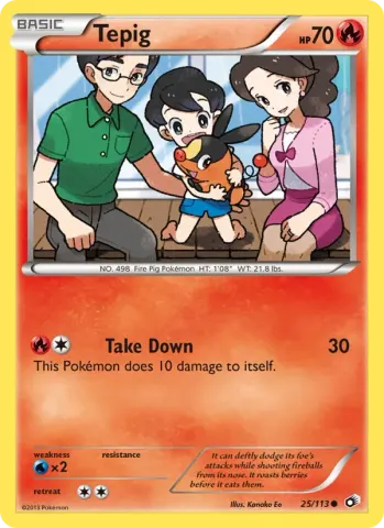 Tepig · 25