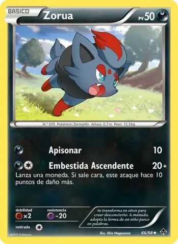 Zorua · 66