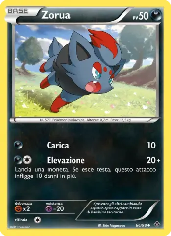Zorua · 66