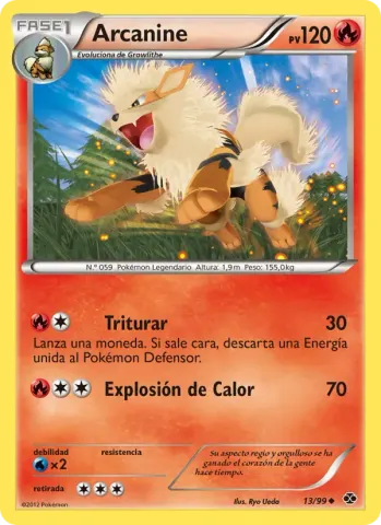 Arcanine · 13