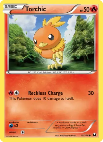Torchic · 14