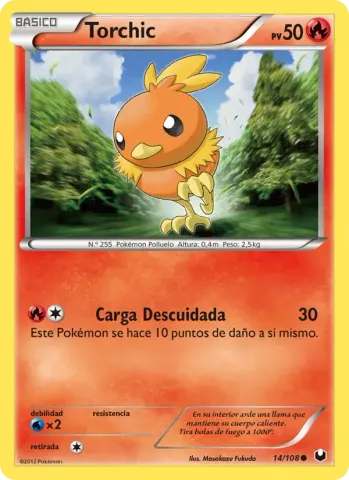 Torchic · 14