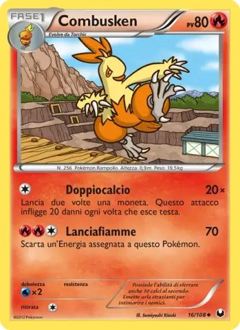 Combusken · 16