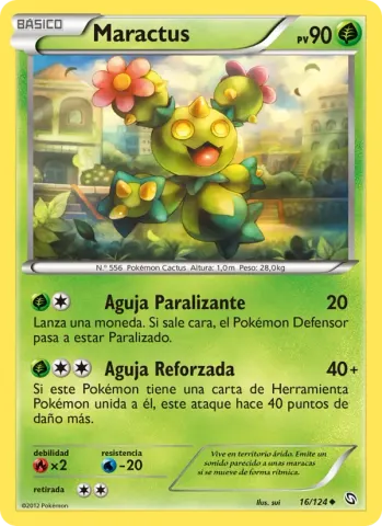 Maractus · 16