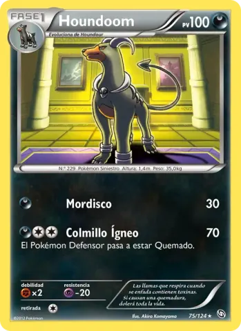 Houndoom · 75
