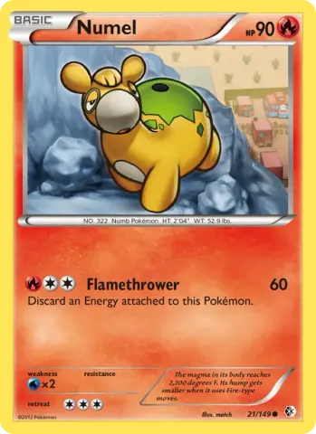 Numel · 21