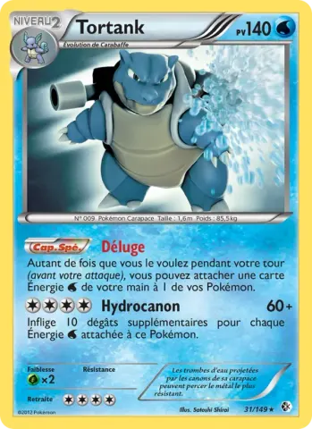 Tortank · 31
