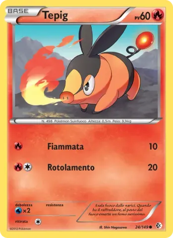 Tepig · 24