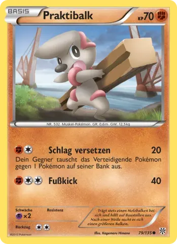 Praktibalk · 79