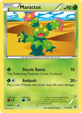 Maractus · 11