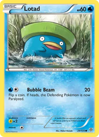 Lotad · 29