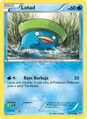 Lotad · 29