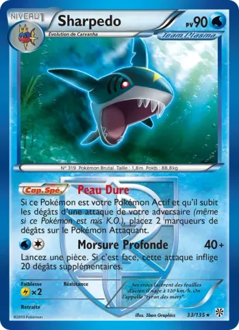Sharpedo · 33