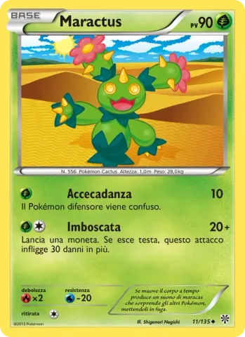 Maractus · 11
