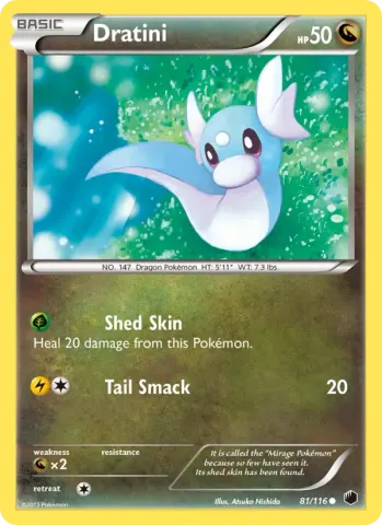 Dratini · 81