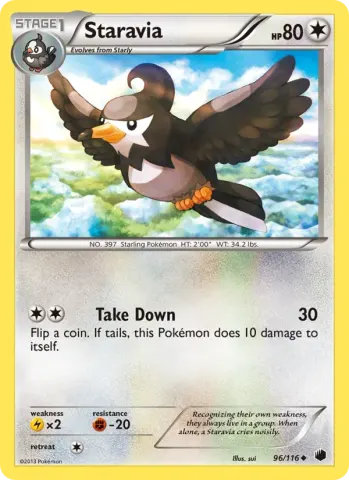 Staravia · 96