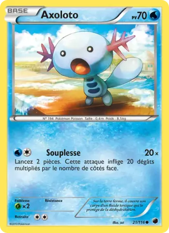 Axoloto · 21