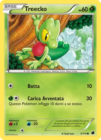Treecko · 6