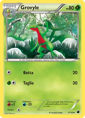 Grovyle · 7