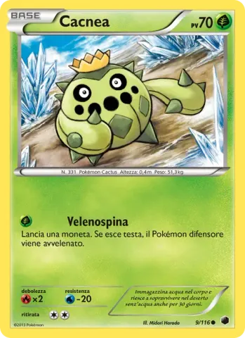 Cacnea · 9