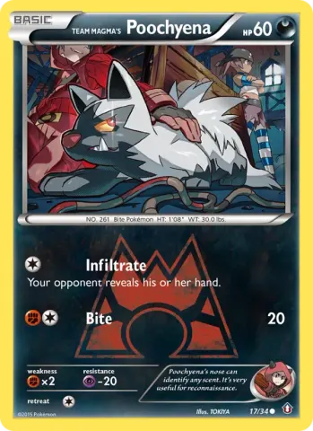Team Magma's Poochyena · 17
