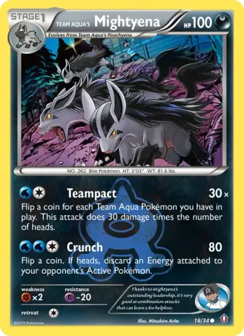 Team Aqua's Mightyena · 18