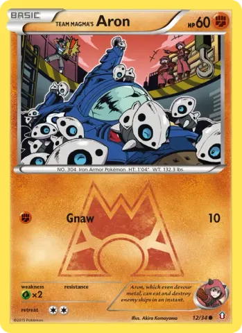 Team Magma's Aron · 12