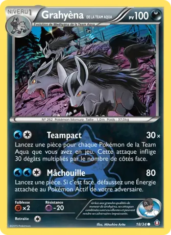 Grahyèna de la Team Aqua · 18
