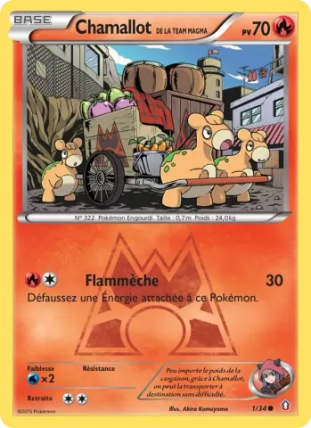 Chamallot de la Team Magma · 1