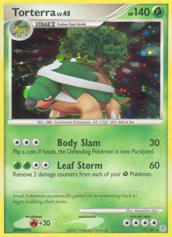 Torterra · 17