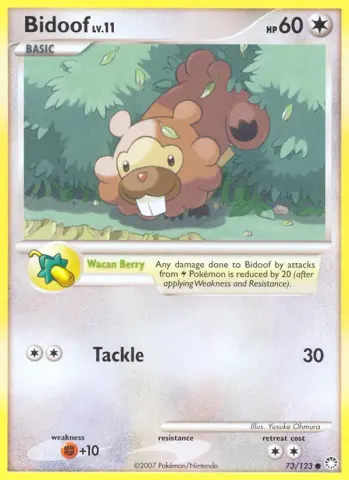 Bidoof · 73