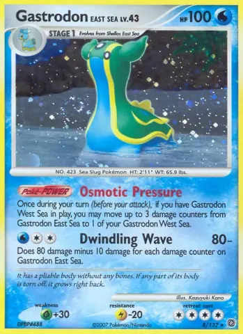 Gastrodon East Sea · 8